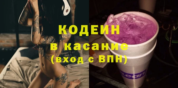 амф Бородино
