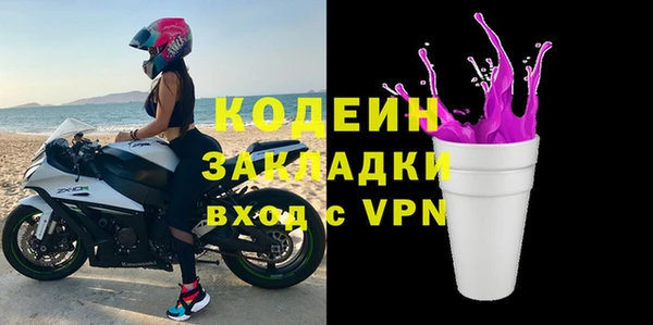 амф Бородино