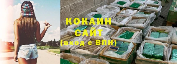 амф Бородино