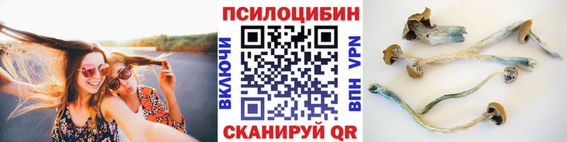 Галлюциногенные грибы ЛСД  Купить  Нелидово 